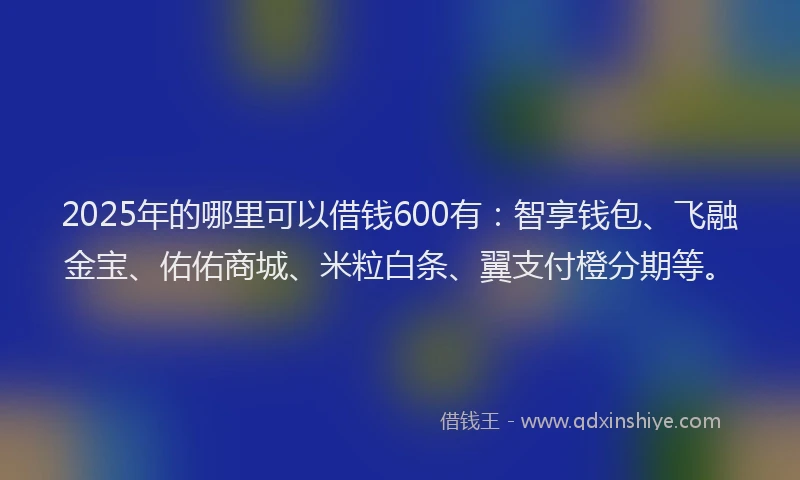 2025年的哪里可以借钱600有：智享钱包、飞融金宝、佑佑商城、米粒白条、翼支付橙分期等。
