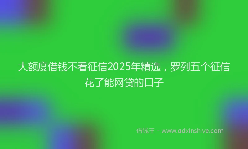 大额度借钱不看征信2025年精选，罗列五个征信花了能网贷的口子