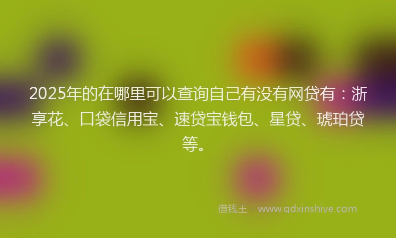 2025年的在哪里可以查询自己有没有网贷有：浙享花、口袋信用宝、速贷宝钱包、星贷、琥珀贷等。