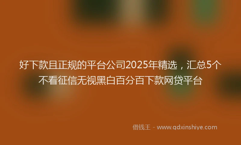 好下款且正规的平台公司2025年精选，汇总5个不看征信无视黑白百分百下款网贷平台