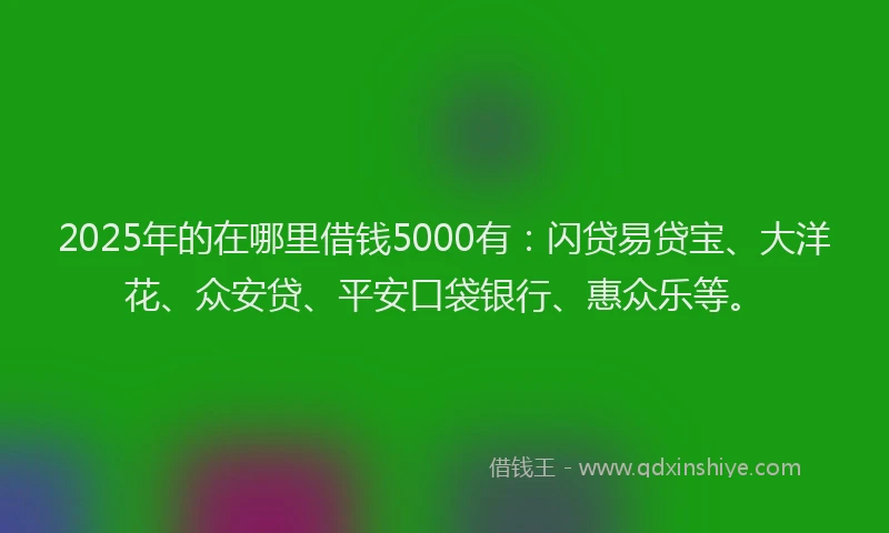 2025年的在哪里借钱5000有：闪贷易贷宝、大洋花、众安贷、平安口袋银行、惠众乐等。