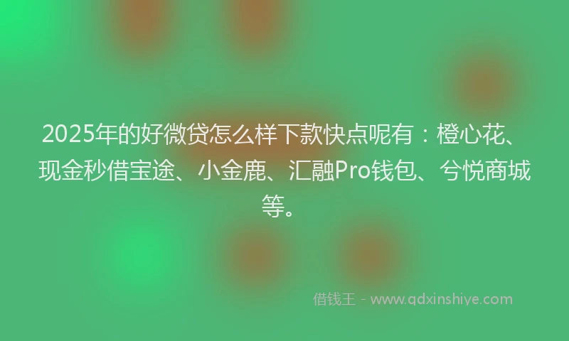 2025年的好微贷怎么样下款快点呢有：橙心花、现金秒借宝途、小金鹿、汇融Pro钱包、兮悦商城等。