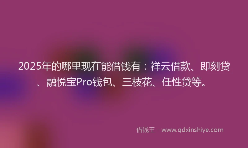 2025年的哪里现在能借钱有：祥云借款、即刻贷、融悦宝Pro钱包、三枝花、任性贷等。