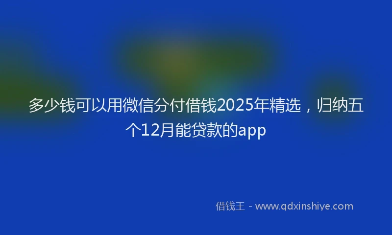 多少钱可以用微信分付借钱2025年精选，归纳五个12月能贷款的app