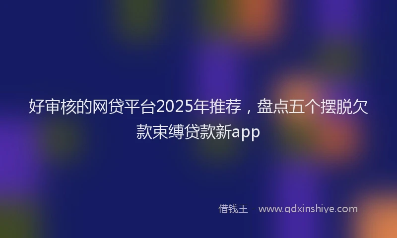 好审核的网贷平台2025年推荐，盘点五个摆脱欠款束缚贷款新app