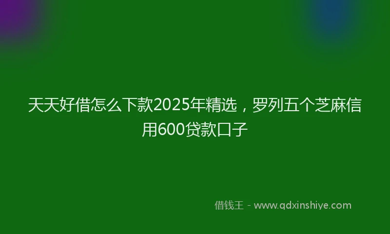 天天好借怎么下款2025年精选，罗列五个芝麻信用600贷款口子