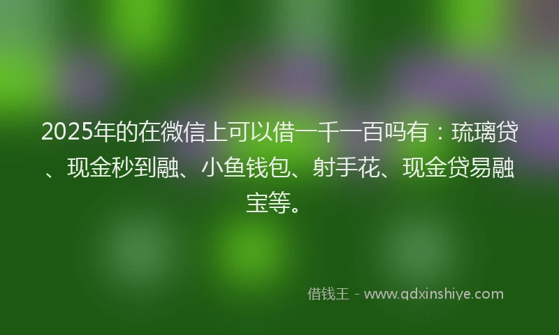 2025年的在微信上可以借一千一百吗有：琉璃贷、现金秒到融、小鱼钱包、射手花、现金贷易融宝等。