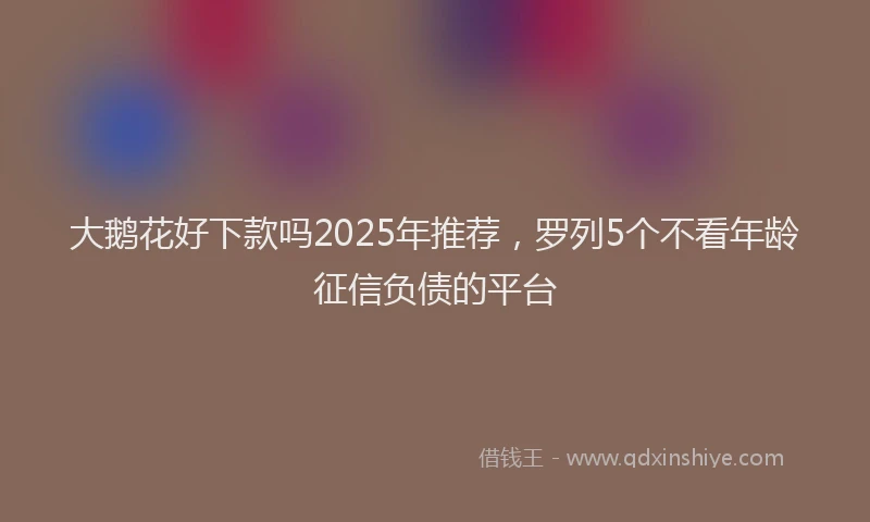 大鹅花好下款吗2025年推荐，罗列5个不看年龄征信负债的平台