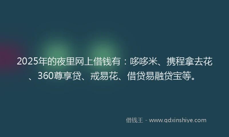 2025年的夜里网上借钱有：哆哆米、携程拿去花、360尊享贷、戒易花、借贷易融贷宝等。