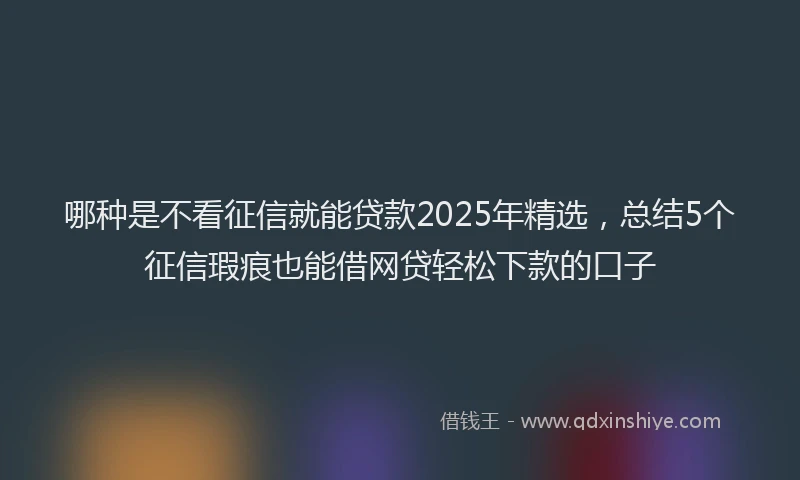 哪种是不看征信就能贷款2025年精选，总结5个征信瑕疵也能借网贷轻松下款的口子