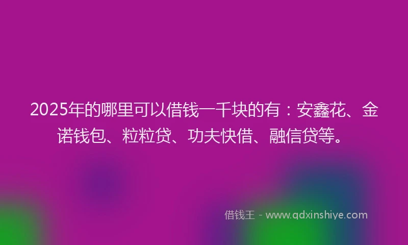 2025年的哪里可以借钱一千块的有：安鑫花、金诺钱包、粒粒贷、功夫快借、融信贷等。