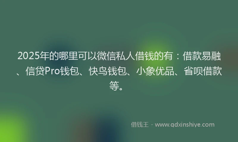 2025年的哪里可以微信私人借钱的有：借款易融、信贷Pro钱包、快鸟钱包、小象优品、省呗借款等。