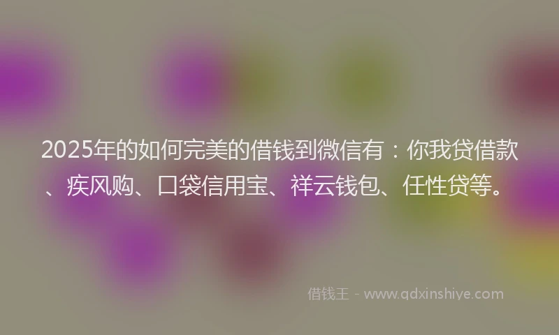 2025年的如何完美的借钱到微信有：你我贷借款、疾风购、口袋信用宝、祥云钱包、任性贷等。
