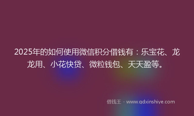 2025年的如何使用微信积分借钱有：乐宝花、龙龙用、小花快贷、微粒钱包、天天盈等。