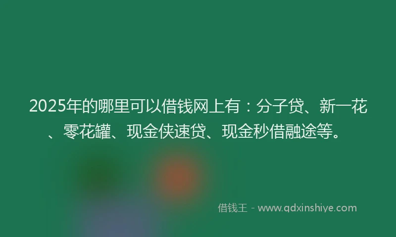 2025年的哪里可以借钱网上有：分子贷、新一花、零花罐、现金侠速贷、现金秒借融途等。