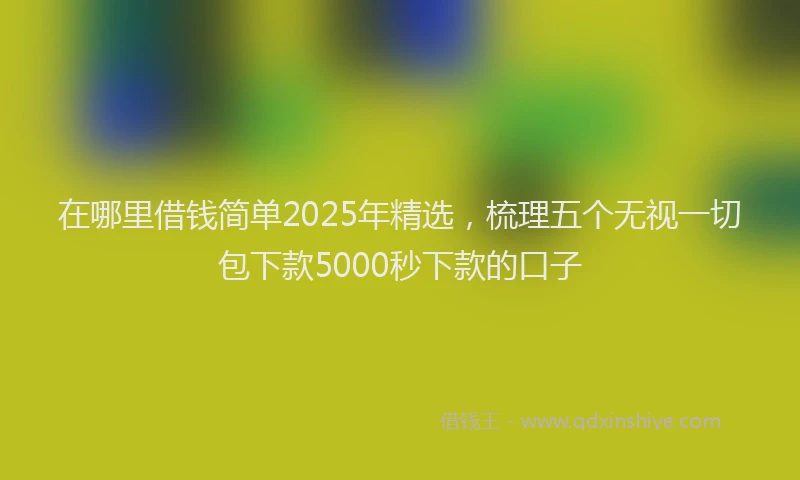 在哪里借钱简单2025年精选，梳理五个无视一切包下款5000秒下款的口子