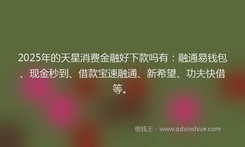 2025年的天星消费金融好下款吗有：融通易钱包、现金秒到、借款宝速融通、新希望、功夫快借等。