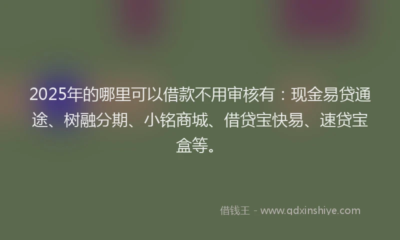 2025年的哪里可以借款不用审核有：现金易贷通途、树融分期、小铭商城、借贷宝快易、速贷宝盒等。
