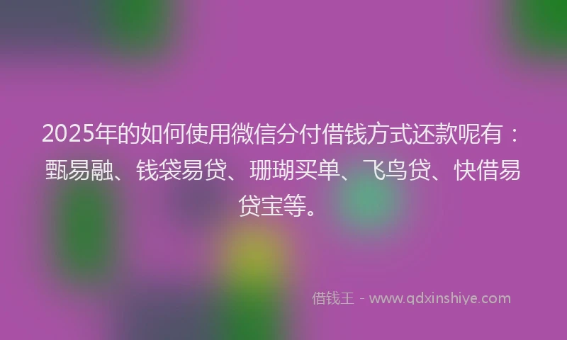 2025年的如何使用微信分付借钱方式还款呢有：甄易融、钱袋易贷、珊瑚买单、飞鸟贷、快借易贷宝等。