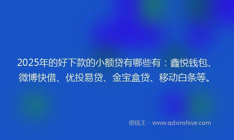 2025年的好下款的小额贷有哪些有：鑫悦钱包、微博快借、优投易贷、金宝盒贷、移动白条等。