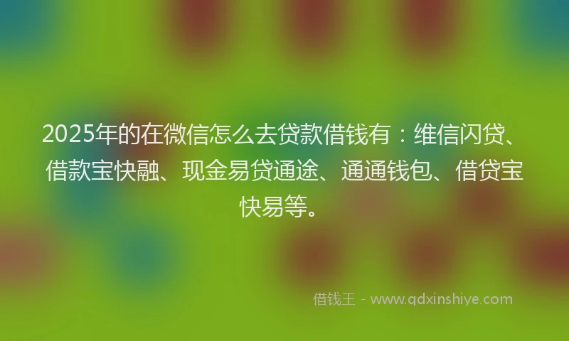 2025年的在微信怎么去贷款借钱有：维信闪贷、借款宝快融、现金易贷通途、通通钱包、借贷宝快易等。
