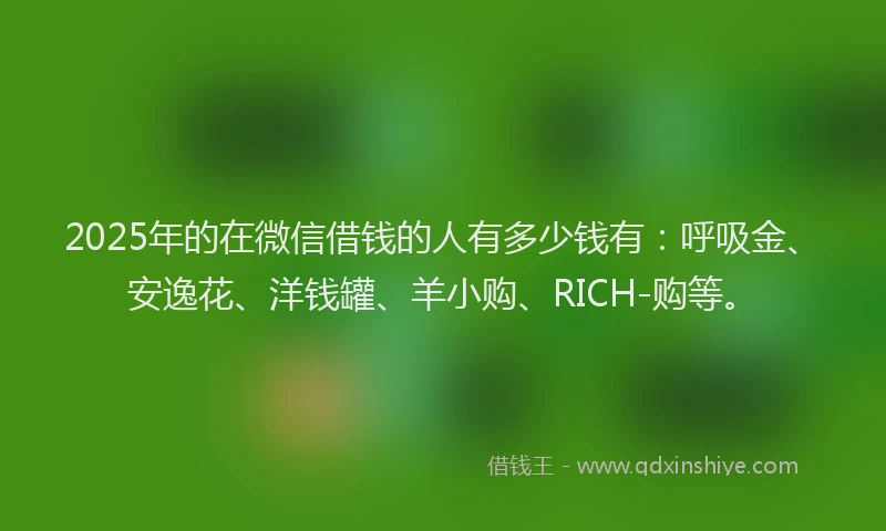 2025年的在微信借钱的人有多少钱有：呼吸金、安逸花、洋钱罐、羊小购、RICH-购等。