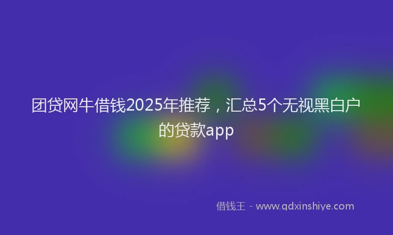 团贷网牛借钱2025年推荐，汇总5个无视黑白户的贷款app