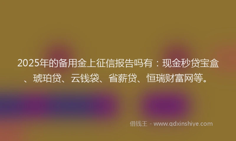 2025年的备用金上征信报告吗有：现金秒贷宝盒、琥珀贷、云钱袋、省薪贷、恒瑞财富网等。