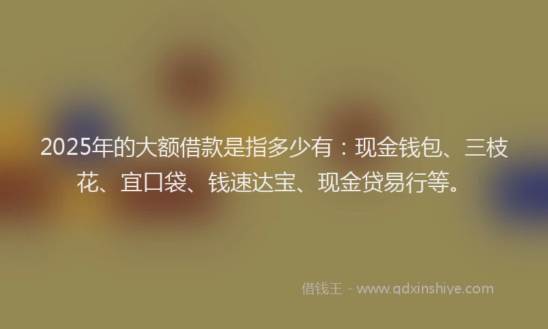2025年的大额借款是指多少有：现金钱包、三枝花、宜口袋、钱速达宝、现金贷易行等。