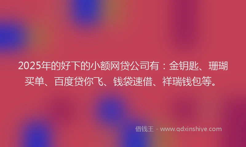 2025年的好下的小额网贷公司有：金钥匙、珊瑚买单、百度贷你飞、钱袋速借、祥瑞钱包等。