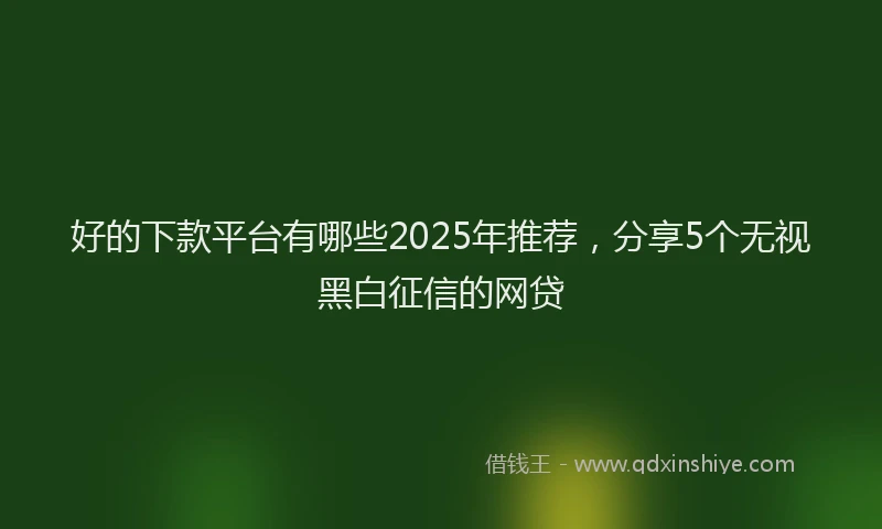 好的下款平台有哪些2025年推荐，分享5个无视黑白征信的网贷
