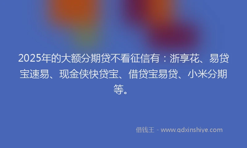 2025年的大额分期贷不看征信有：浙享花、易贷宝速易、现金侠快贷宝、借贷宝易贷、小米分期等。