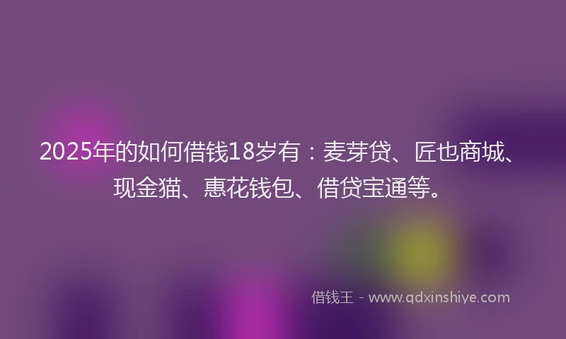 2025年的如何借钱18岁有：麦芽贷、匠也商城、现金猫、惠花钱包、借贷宝通等。