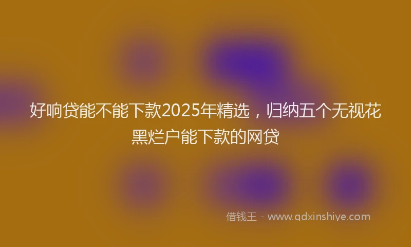 好响贷能不能下款2025年精选，归纳五个无视花黑烂户能下款的网贷