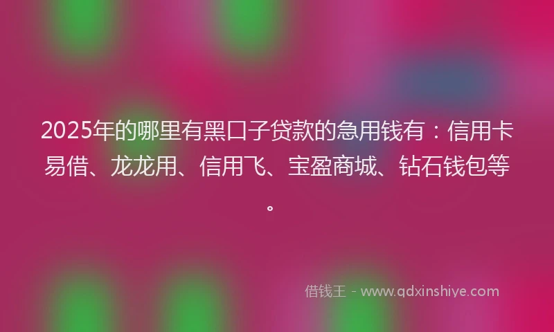 2025年的哪里有黑口子贷款的急用钱有：信用卡易借、龙龙用、信用飞、宝盈商城、钻石钱包等。