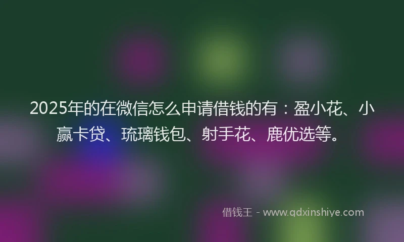 2025年的在微信怎么申请借钱的有：盈小花、小赢卡贷、琉璃钱包、射手花、鹿优选等。