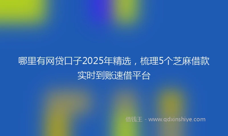 哪里有网贷口子2025年精选，梳理5个芝麻借款实时到账速借平台