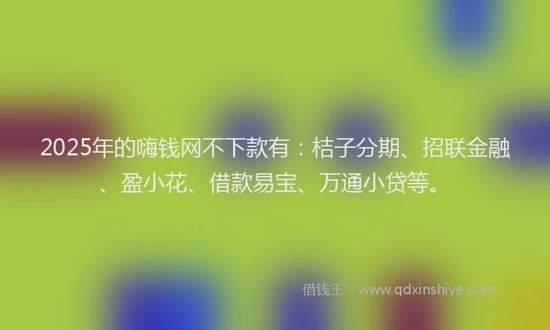 2025年的嗨钱网不下款有：桔子分期、招联金融、盈小花、借款易宝、万通小贷等。