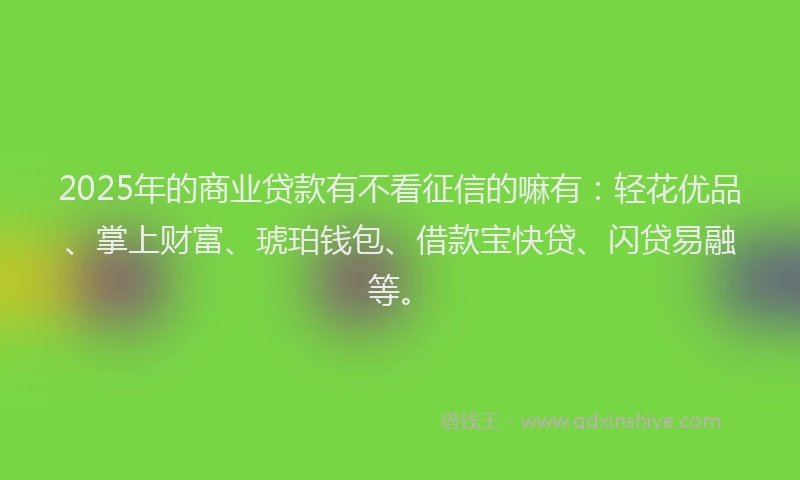 2025年的商业贷款有不看征信的嘛有：轻花优品、掌上财富、琥珀钱包、借款宝快贷、闪贷易融等。