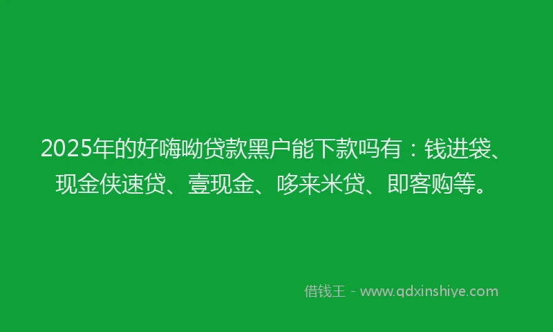 2025年的好嗨呦贷款黑户能下款吗有：钱进袋、现金侠速贷、壹现金、哆来米贷、即客购等。