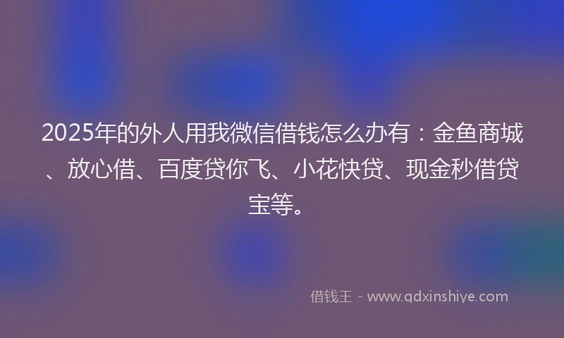 2025年的外人用我微信借钱怎么办有：金鱼商城、放心借、百度贷你飞、小花快贷、现金秒借贷宝等。