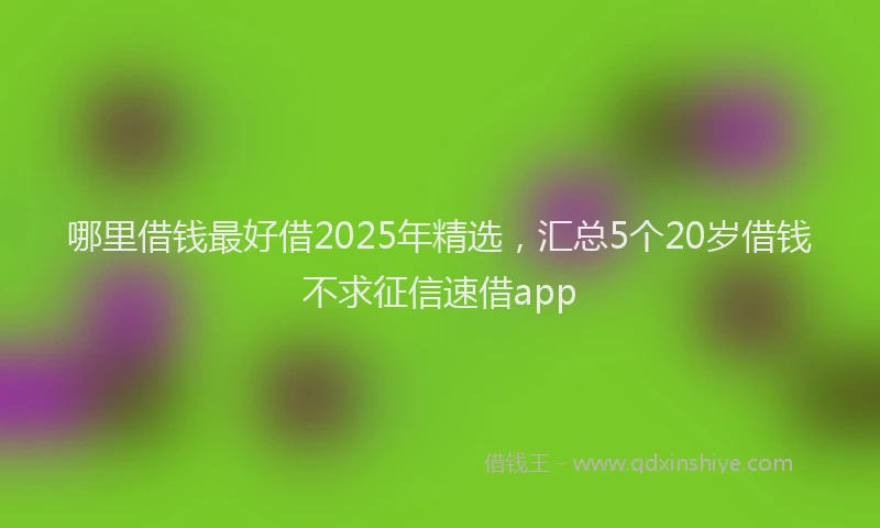 哪里借钱最好借2025年精选，汇总5个20岁借钱不求征信速借app