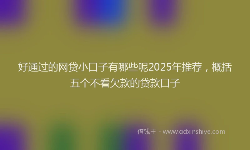 好通过的网贷小口子有哪些呢2025年推荐，概括五个不看欠款的贷款口子