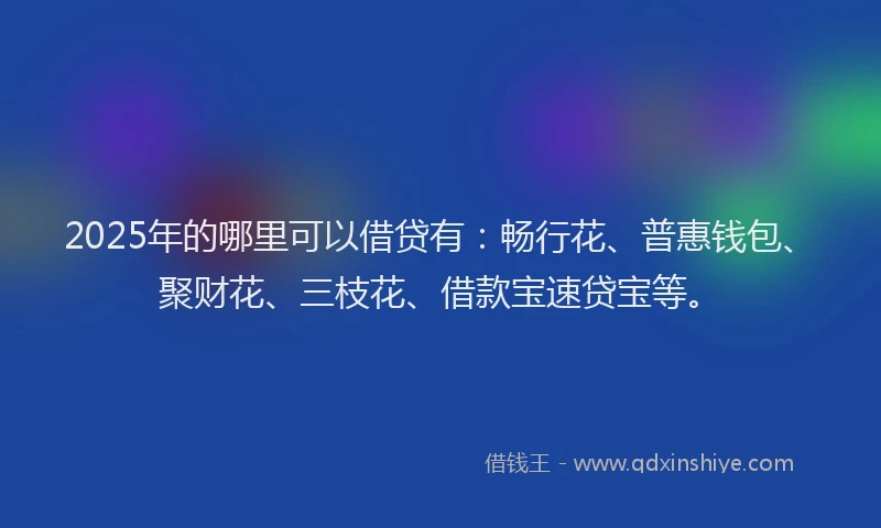 2025年的哪里可以借贷有：畅行花、普惠钱包、聚财花、三枝花、借款宝速贷宝等。