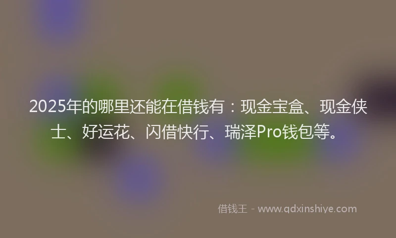 2025年的哪里还能在借钱有：现金宝盒、现金侠士、好运花、闪借快行、瑞泽Pro钱包等。