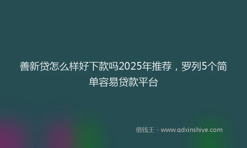 善新贷怎么样好下款吗2025年推荐，罗列5个简单容易贷款平台
