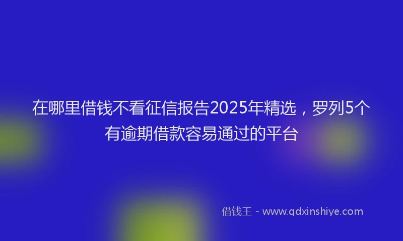 在哪里借钱不看征信报告2025年精选，罗列5个有逾期借款容易通过的平台