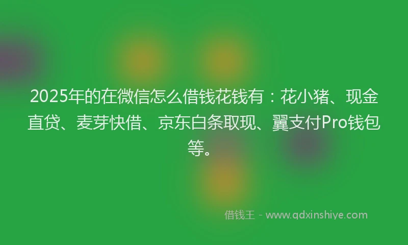 2025年的在微信怎么借钱花钱有：花小猪、现金直贷、麦芽快借、京东白条取现、翼支付Pro钱包等。