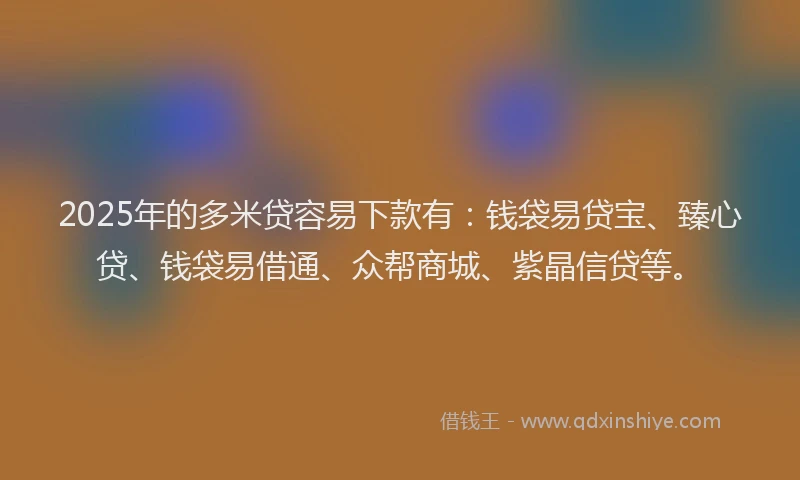 2025年的多米贷容易下款有：钱袋易贷宝、臻心贷、钱袋易借通、众帮商城、紫晶信贷等。