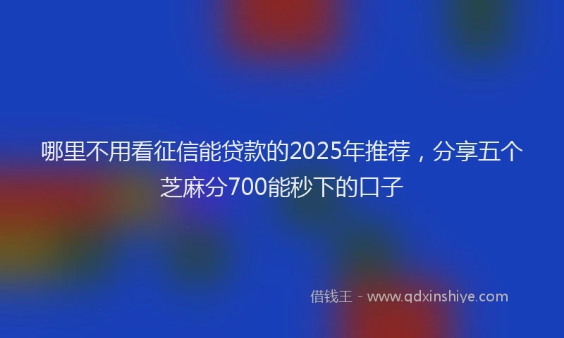哪里不用看征信能贷款的2025年推荐，分享五个芝麻分700能秒下的口子